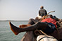 Rêve d’archipel, Bijagos, Guinée-Bissau
